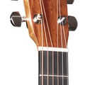 000E Black Walnut Ambertone image number 3