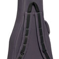 Back of a Softshell Case for a Martin Guitar image number 6