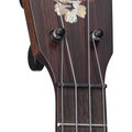 1T IZ Tenor Uke image number 3