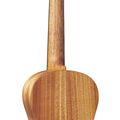 T1 Uke image number 2