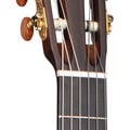 Headstock and Neck of Martin 000C12-16E Nylon Gloss Top Guitar image number 4
