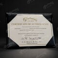 Project '91 Certificate of Authenticity Example image number 7