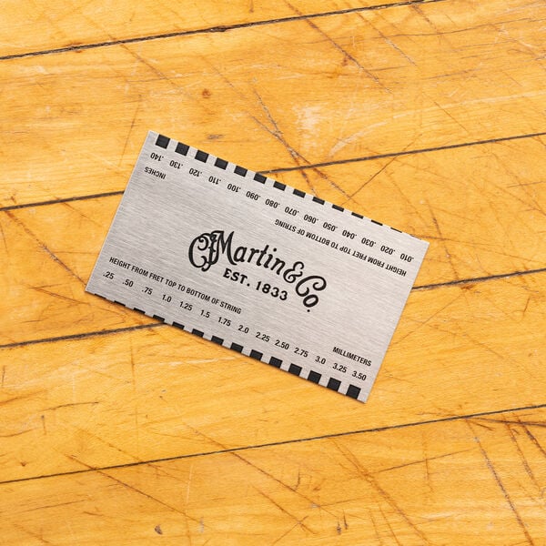 String Action Gauge image number 4