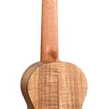 C1 Uke image number 2