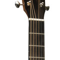 D-X2E Billy Strings image number 4