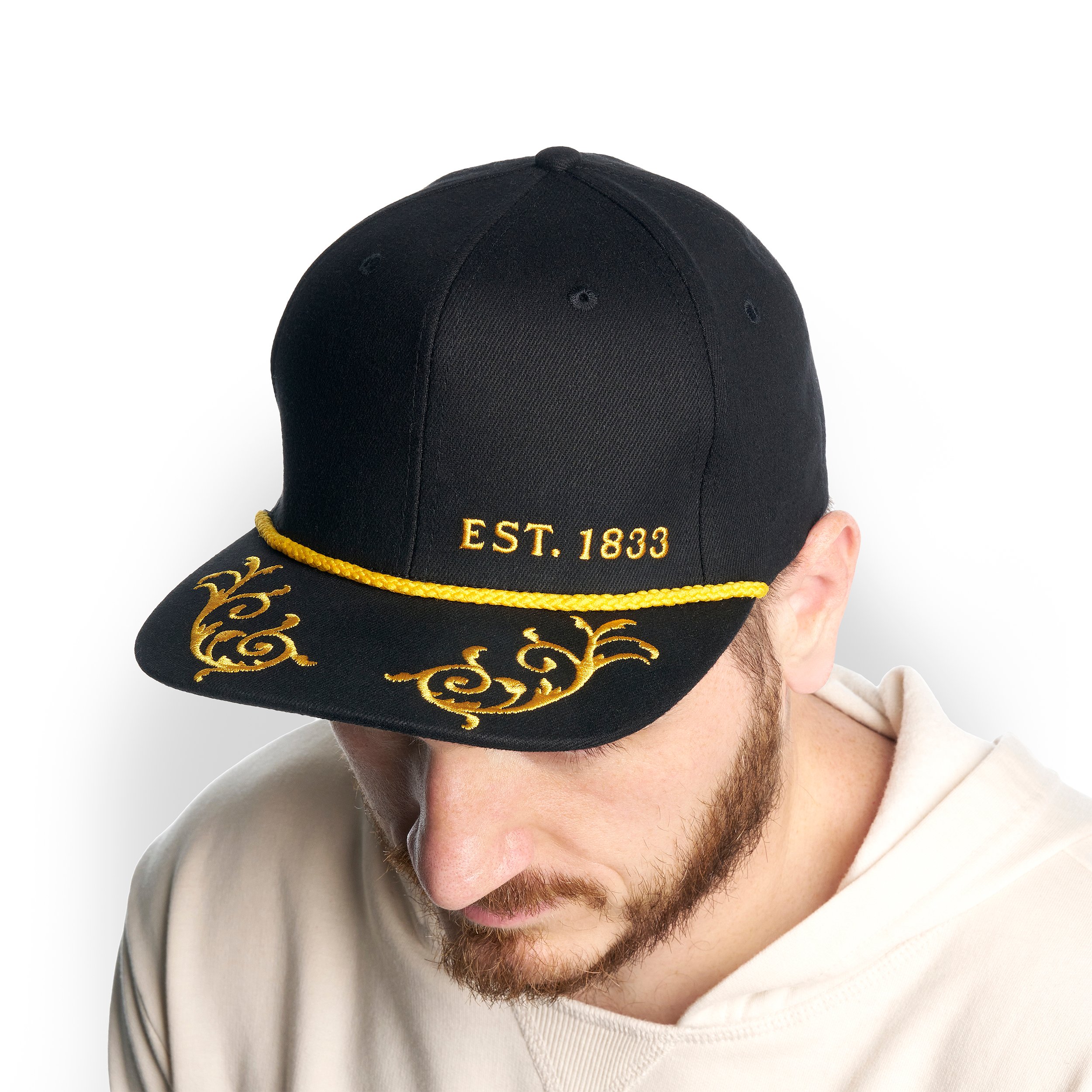 Martin Modern Heritage Snapback Hat image number 1